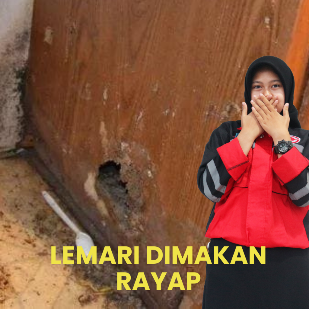 Jasa Anti Rayap Bekasi Bergaransi Lemari di Makan Rayap