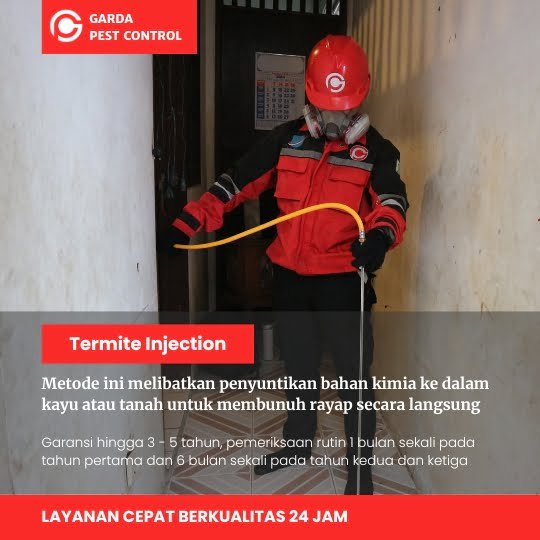 Jasa Anti Rayap Jakarta Barat: Solusi Tepat Bebas Rayap