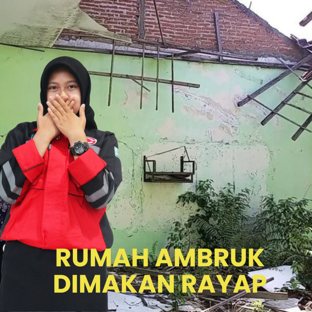 Jasa Anti Rayap Bekasi Bergaransi Rumah Ambruk Gara Gara Rayap