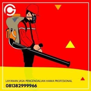 Fogging Nyamuk DBD di Cicendo Bandung