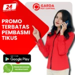 Jasa Pembasmi Tikus