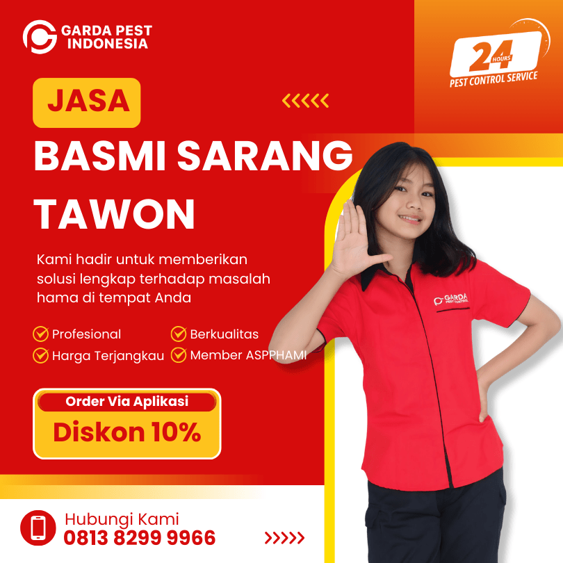 Jasa Pembasmi Sarang Tawon di Semarang