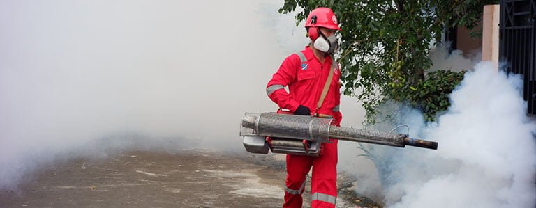 jasa-fogging-nyamuk-di-bandung