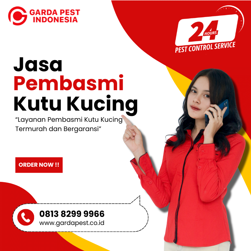 Jasa Pembasmi Kutu Kucing Tangerang