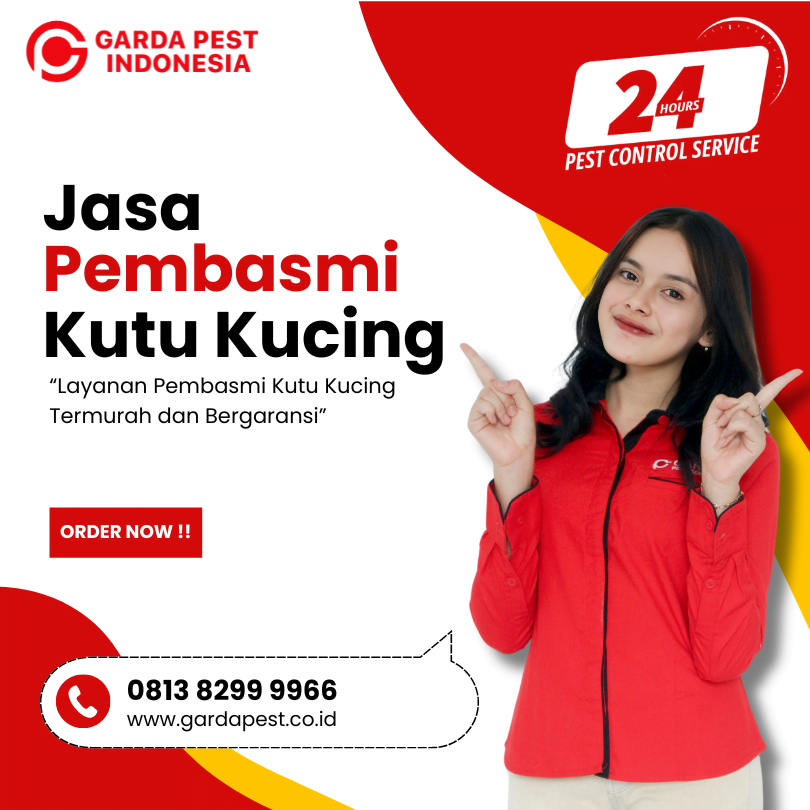 Jasa Pembasmi Kutu Kucing Cirebon : Terbaik No. 1
