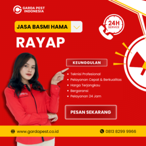 Jasa Anti Rayap di Cimahi