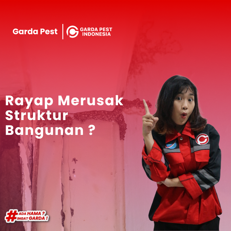 Rayap Merusak Struktur Bangunan