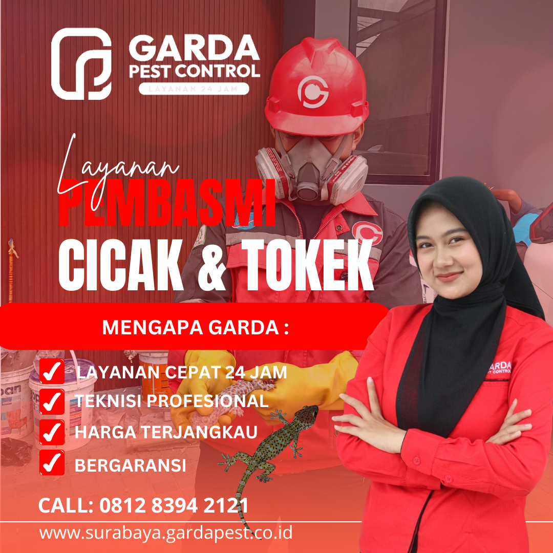 Jasa Pembasmi Cicak & Tokek di Jogja