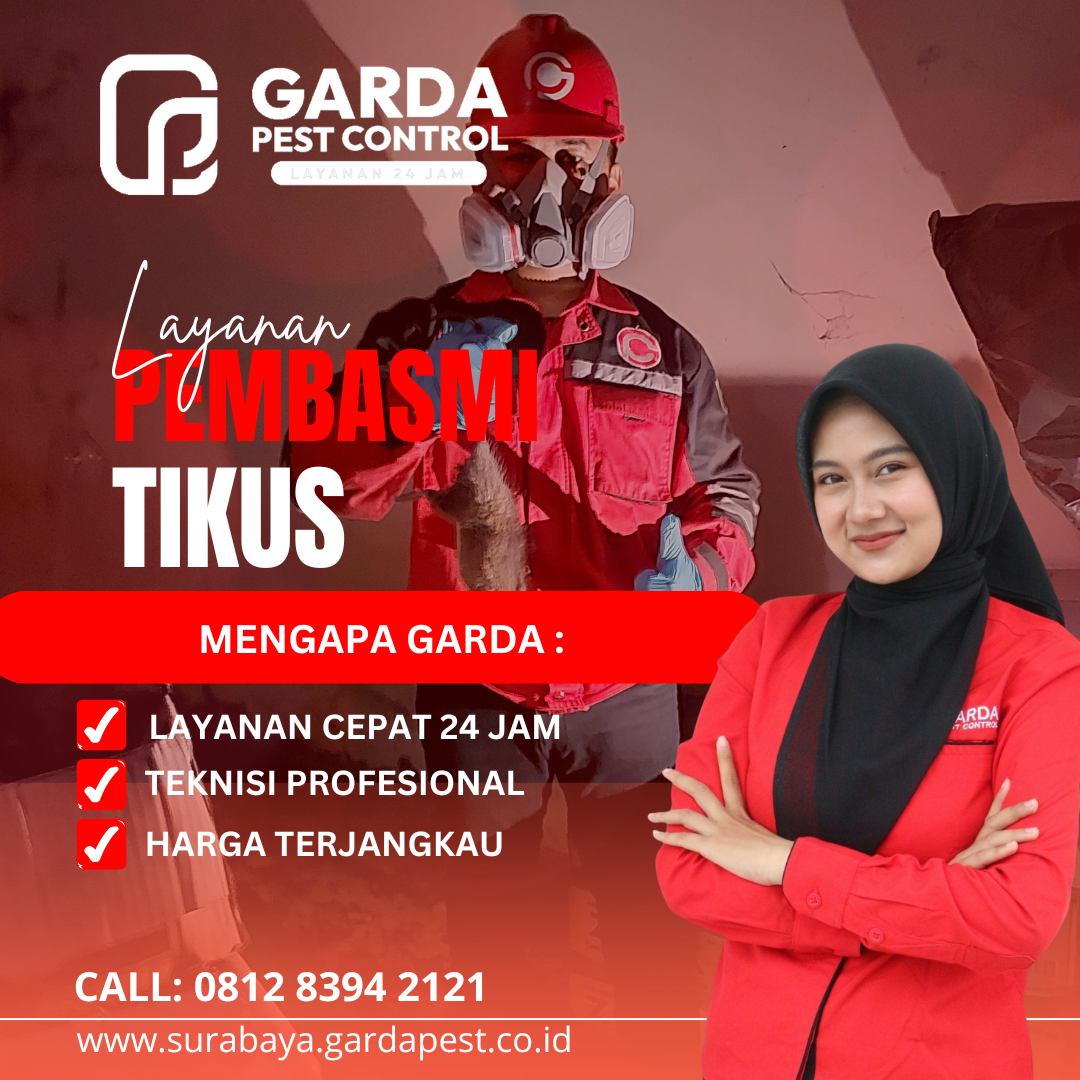 Jasa Pembasmi Tikus di Yogyakarta