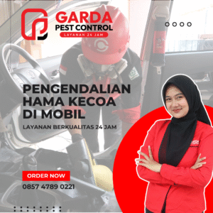 basmi Kecoa di Mobil terdekat