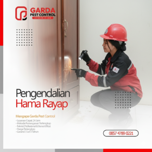 Jasa Basmi Rayap Terbaik di Jogja