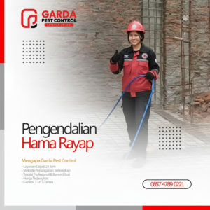 Jasa Pembasmi Rayap Terdekat di Jogja