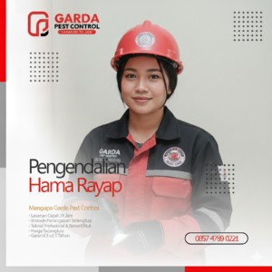 Penyedia Jasa Anti Rayap Terpercaya di Jogja