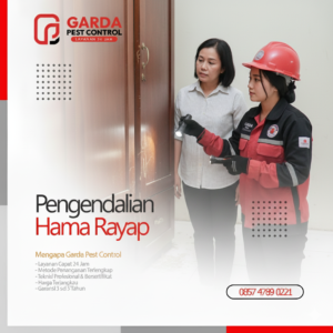 Perusahaan Jasa Anti Rayap Terdekat di Jogja