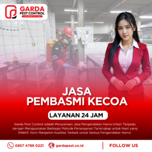 Jasa Pembasmi Kecoa Terdekat di Jogja