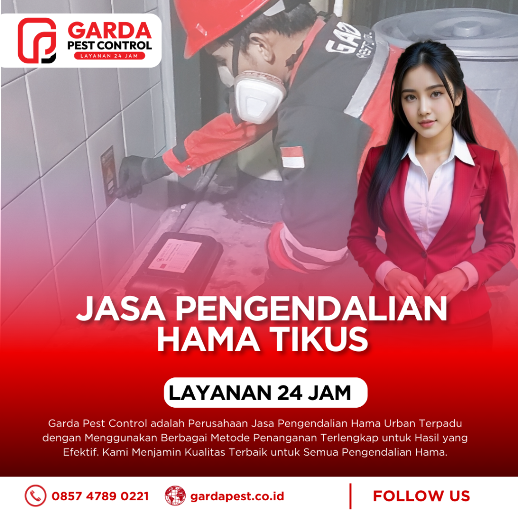 Jasa Pembasmi Tikus Terdekat di Jogja