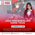 Vendor Pembasmi Hama Tikus di Yogyakarta