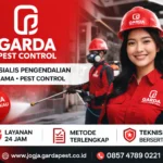 Jasa Pest Control Pembasmi Rayap di Jogja Cepat Berkualitas 24 Jam Jasa Pest Control Jogja (5)
