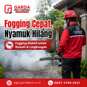 Jasa Fogging Rumah Jogja