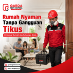 Perkiraan Harga Jasa Pembasmi Tikus di Jogja Terbaru dari Garda Pest Control Jogja