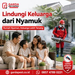 Jasa Fogging Jogja