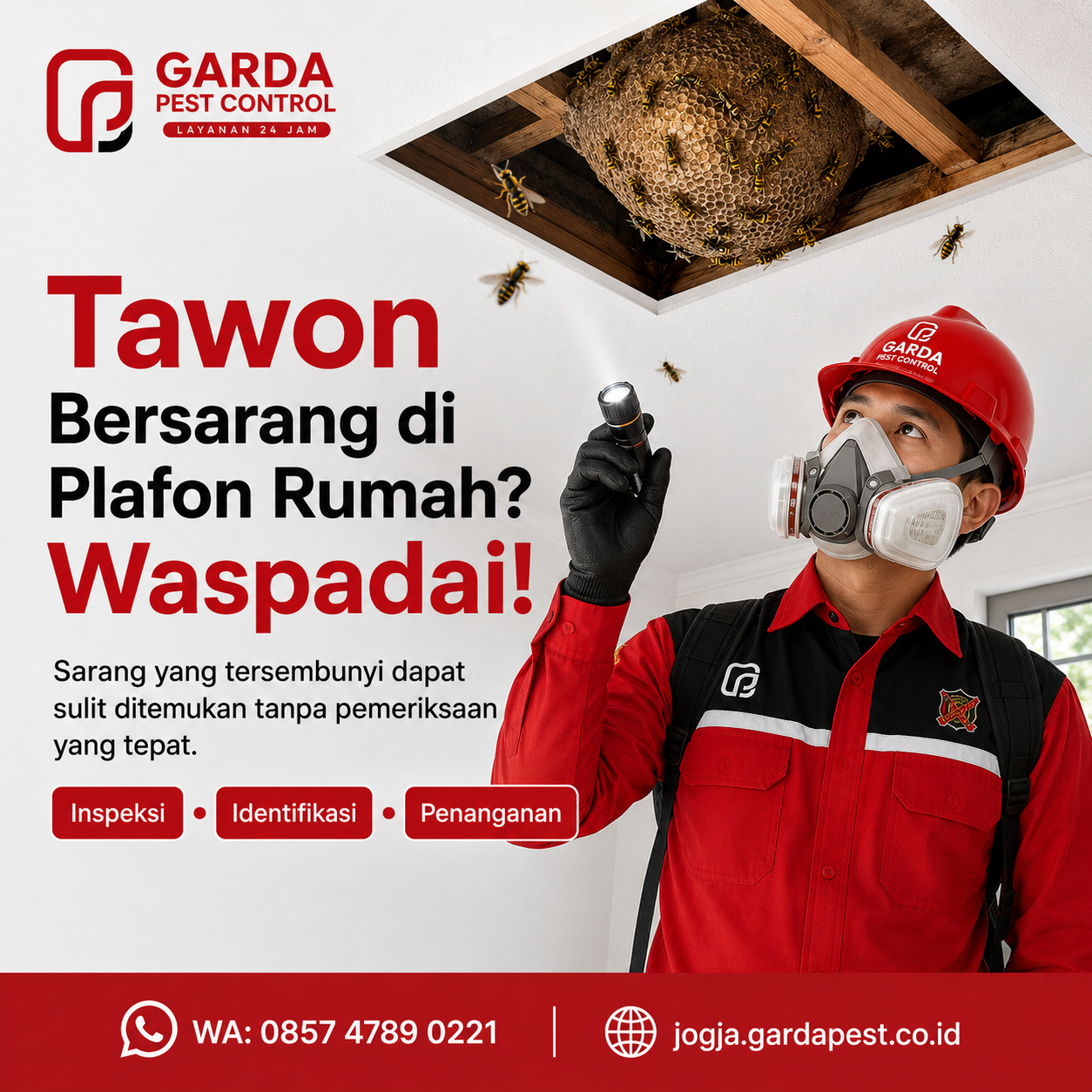 Panduan Penanganan Pertama Saat Menemukan Sarang Tawon Vespa di Rumah Jogja