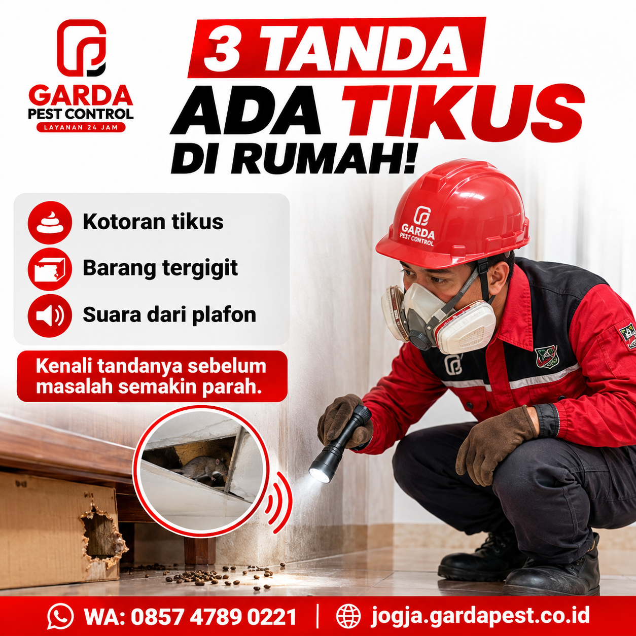  Jasa Pembasmi Tikus Jogja Terbaik untuk Rumah dan Usaha