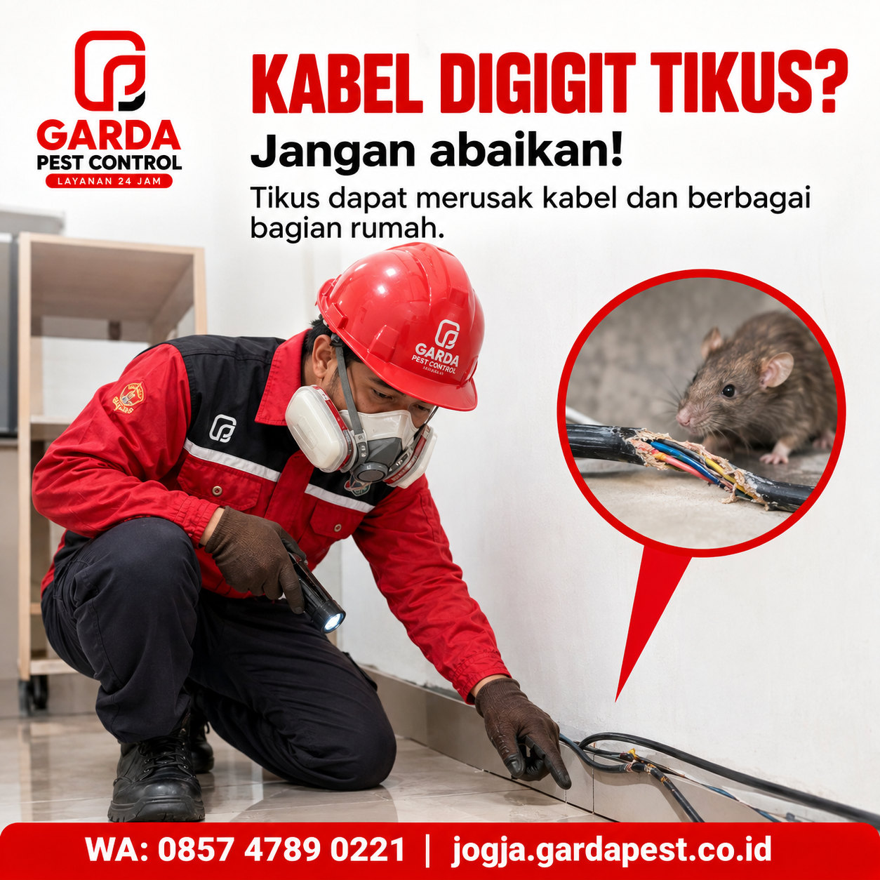 Estimasi Biaya Jasa Pembasmi Tikus di Jogja Lengkap dan Terbaru