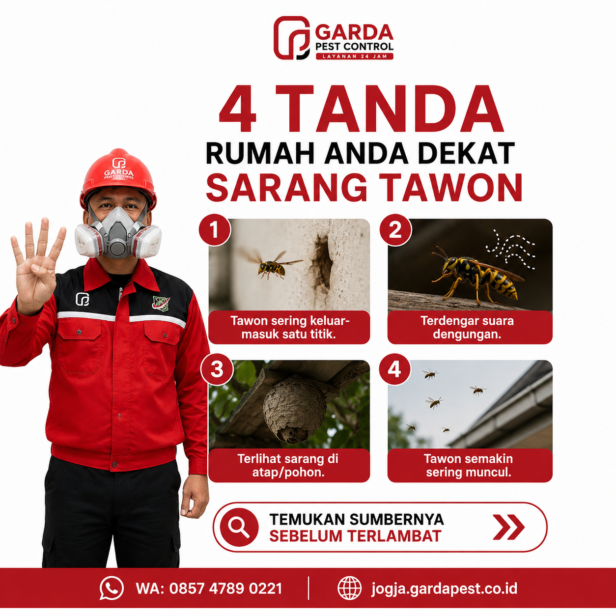 Panduan Penanganan Pertama Saat Menemukan Sarang Tawon Vespa di Rumah Jogja