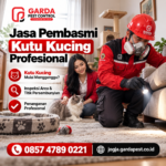 Jasa Pembasmi Kutu Kucing