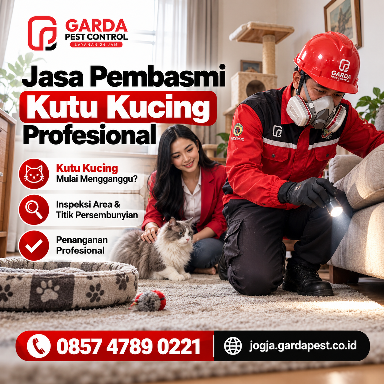 Jasa Pembasmi Kutu Kucing di Jogja Terpercaya & Bergaransi