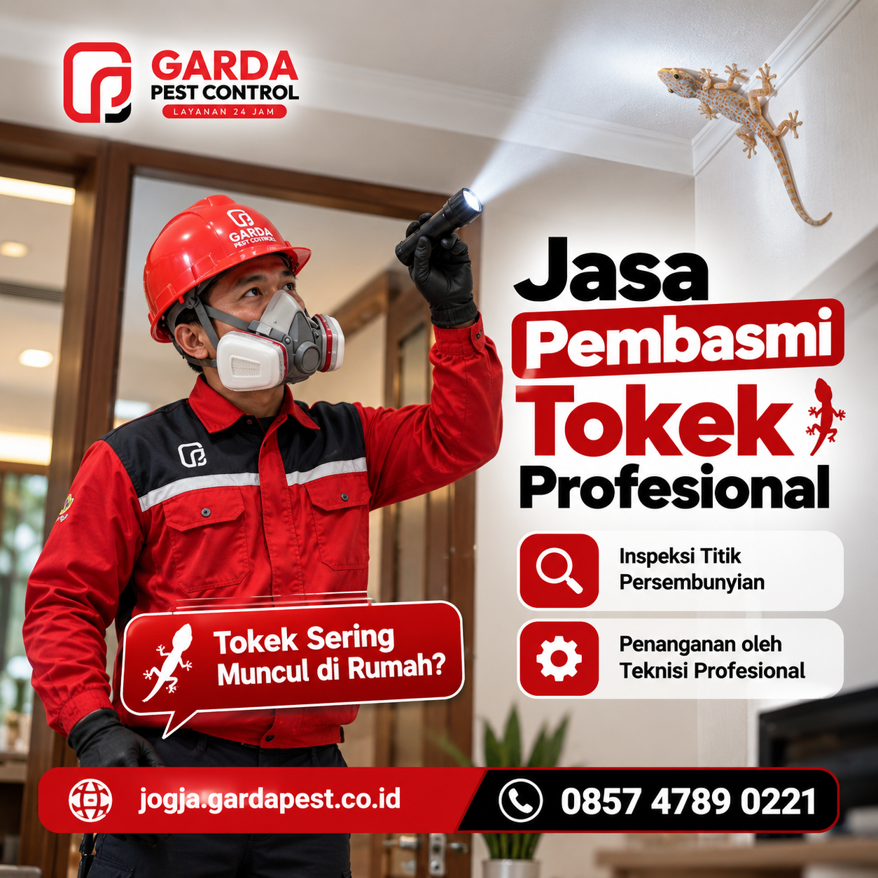 Jasa Pembasmi Tokek di Jogja | Profesional 